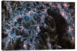 Lærredsbillede Gas filaments of the barred spiral galaxy NGC 5068 - NASA