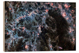 Puutaulu Gas filaments of the barred spiral galaxy NGC 5068 - NASA