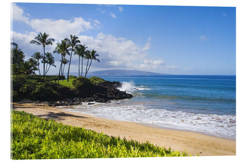 Akrylglastavla Ulua Beach, Wailea, Maui, Hawaii