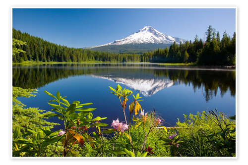 Poster Spiegelung des Mount Hood in Trillium Lake, Oregon, USA