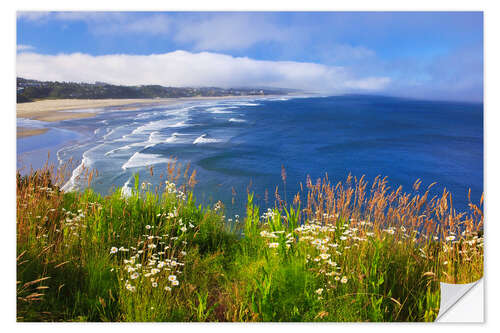 Sticker mural Wildflowers Along Yaquina Head, Newport Oregon, USA