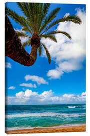 Quadro em tela Tropical views from Waikiki Beach, Honolulu, Oahu, Hawaii