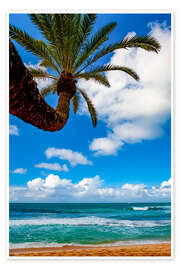 Poster Tropical views from Waikiki Beach, Honolulu, Oahu, Hawaii