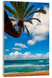 Cuadro de madera Tropical views from Waikiki Beach, Honolulu, Oahu, Hawaii