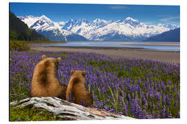Tableau en aluminium Grizzly Sow and Cub Sit Along Seward Highway, Alaska
