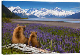 Lienzo Grizzly Sow and Cub Sit Along Seward Highway, Alaska