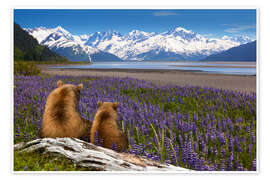 Reprodução Grizzly Sow and Cub Sit Along Seward Highway, Alaska