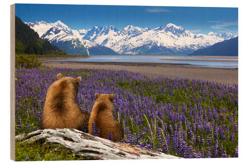 Trätavla Grizzly Sow and Cub Sit Along Seward Highway, Alaska
