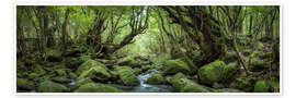 Poster Mystical Forest, Yakushima, Japan - Jan Christopher Becke