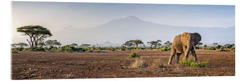 Acrylglas print Kilimanjaro im Amboseli Nationalpark