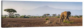 Lienzo Kilimanjaro im Amboseli Nationalpark - Jan Christopher Becke