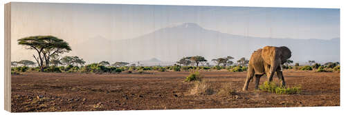 Holzbild Kilimanjaro im Amboseli Nationalpark