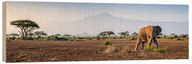 Wood print Kilimanjaro im Amboseli Nationalpark - Jan Christopher Becke