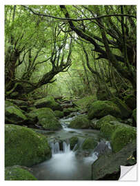 Wandsticker Bachlauf im Wald