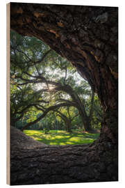 Holzbild Louisiana, Virginia-Eichen gerahmt - Martin Podt