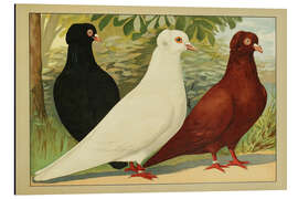 Tableau en aluminium Montauban - Emil Schachtzabel