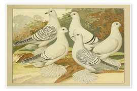 Taulu Porcelain Pigeons - Emil Schachtzabel