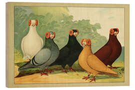 Holzbild Indianer Tauben - Emil Schachtzabel