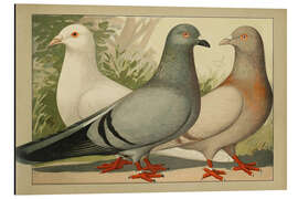 Aluminiumtavla Runt - Emil Schachtzabel