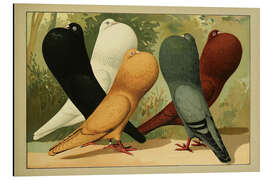 Aluminium print Steiger Cropper