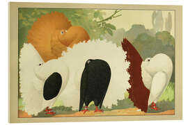 Cuadro de metacrilato Fantail Pigeons - Emil Schachtzabel