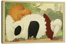 Canvas print Fantail Pigeons - Emil Schachtzabel