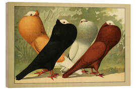 Holzbild Thüringer, Böhmische und Schlesische Kröpfer