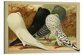 Aluminium print Old German Cropper