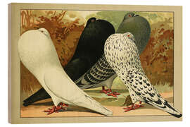 Holzbild Altdeutsche Kröpfer