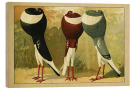 Holzbild Französische Kröpfer