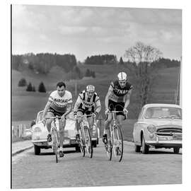 Aluminium print Cyclists at the Tour de Romandie 1963