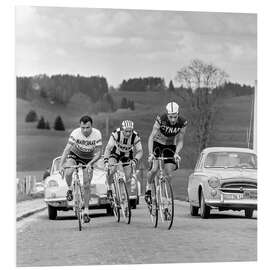 Bilde på skumplate Cyclists at the Tour de Romandie 1963