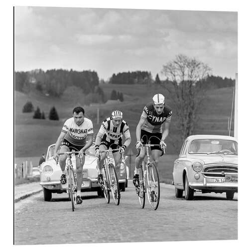 Gallery print Cyclists at the Tour de Romandie 1963
