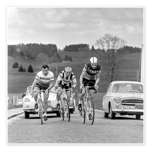 Poster Cyclists at the Tour de Romandie 1963