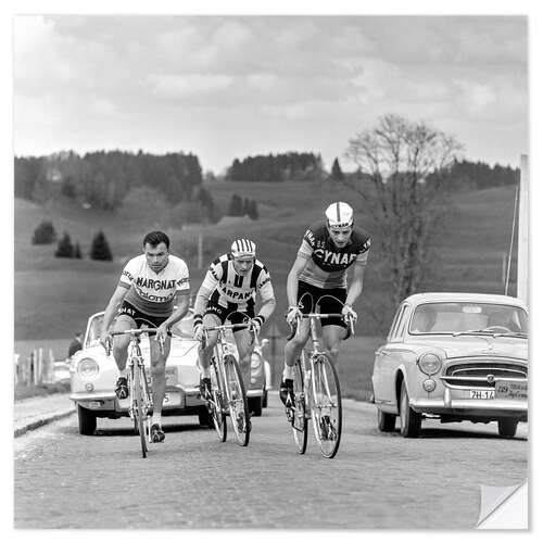 Wall sticker Cyclists at the Tour de Romandie 1963