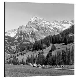 Alubild Rad Tour De Romandie 1955