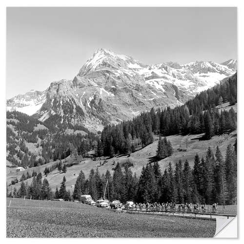 Sisustustarra Cycling Tour De Romandie 1955