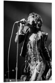 Alumiinitaulu Mick Jagger, 1973