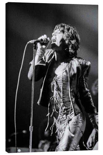 Canvas-taulu Mick Jagger, 1973