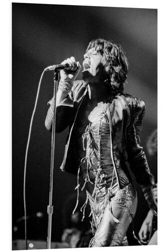 PVC-tavla Mick Jagger, 1973