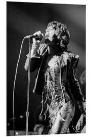 Cuadro de PVC Mick Jagger, 1973