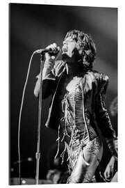 Cuadro de plexi-alu Mick Jagger, 1973