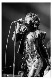 Sisustustarra Mick Jagger, 1973