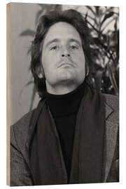 Holzbild Michael Douglas, 1976