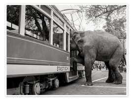 Wandbild Elefant Sahib steigt in eine Straßenbahn, Zürich, 1978