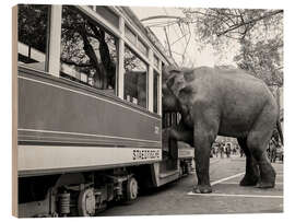 Wood print Elephant Sahib tries to get on a tram, Zurich, 1978