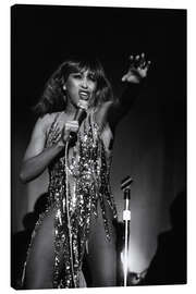 Lærredsbillede Tina Turner in Zurich, 1978 II