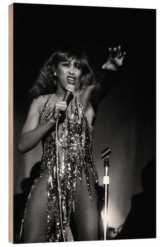 Trebilde Tina Turner in Zurich, 1978 II