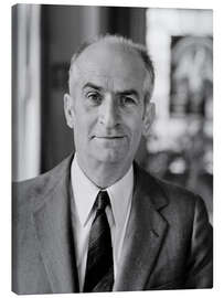 Lienzo Louis de Funes, 1970
