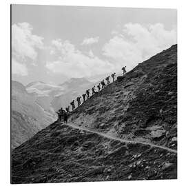 Aluminium print A hiking group in the Swiss mountains